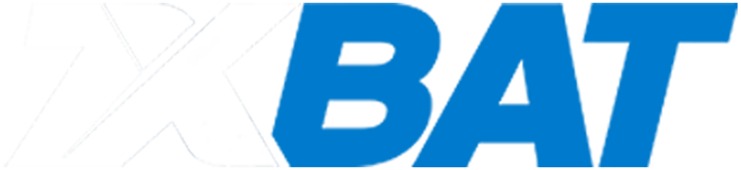7X Bat logo
